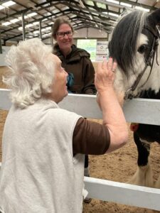 TWP 11